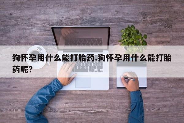 堕胎药在线付款狗怀孕用什么能打胎药.狗怀孕用什么能打胎药呢？