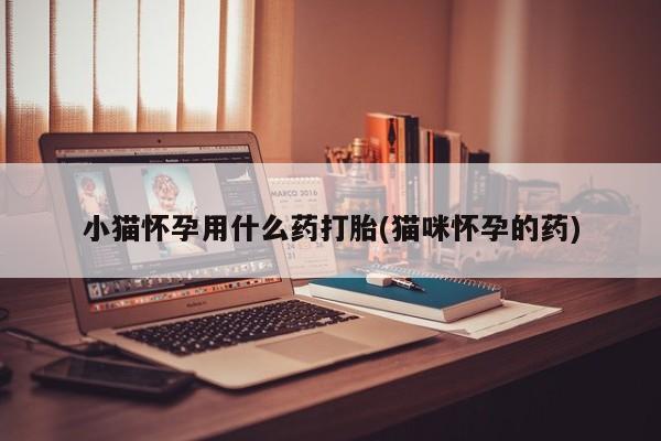 堕胎药在线付款小猫怀孕用什么药打胎(猫咪怀孕的药)