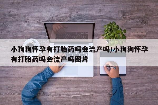 堕胎药在线付款小狗狗怀孕有打胎药吗会流产吗/小狗狗怀孕有打胎药吗会流产吗图片