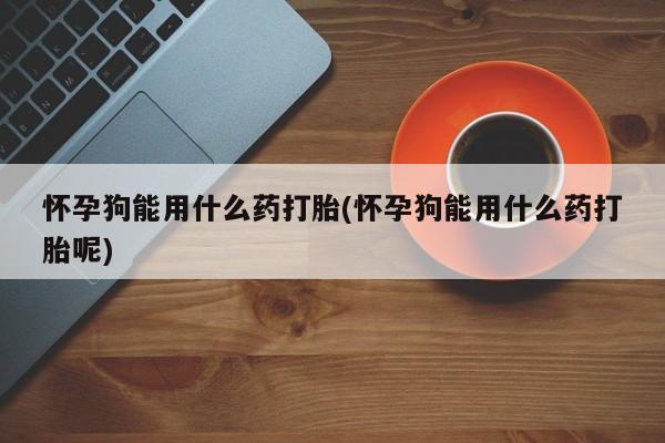 堕胎药在线付款怀孕狗能用什么药打胎(怀孕狗能用什么药打胎呢)